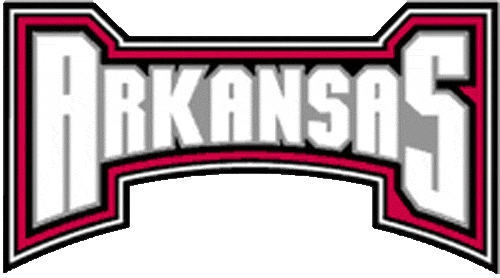 Arkansas Razorbacks 2001-2008 Wordmark Logo v6 diy iron on heat transfer